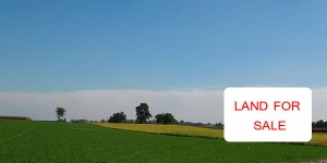 Important Tips for Buying Land in Kenya